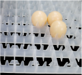 88 Egg Tray for Incubator Automatic egg Tray. 