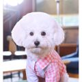 A Puppy Dog Clothes Teddy Bear Xiong Bomei Summer Thin Section Schnauzer Small Puppies Summer Pet Summer Shirt. 