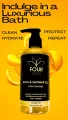 Four Elements Bath & Shower Gel - 300ml. 