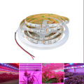 12V 5050 5m LED Strip Grow light Full Spectrum LED Flower Plant Phyto Growth lamp For Greenhouse Hydroponic Plant Growing. 