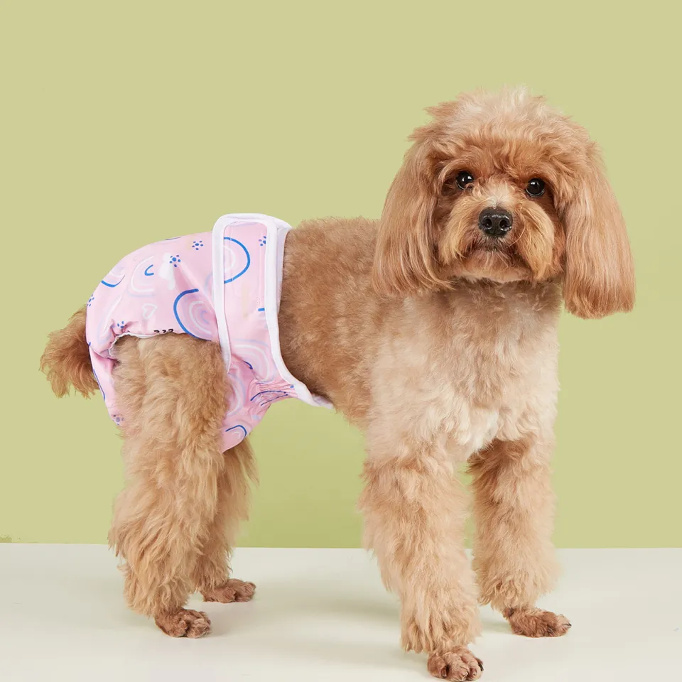 Dog Period Protection Pants Rainbow Prints Dog Diapers Breathable
