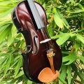 Brandurnburg 4/4 Size German Made Violin with Hard Case Rosin and bow BB 110 - Coffee Brown. 