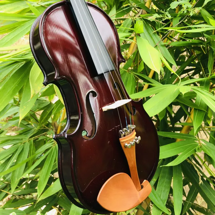 Brandurnburg%204/4%20Size%20German%20Made%20Violin%20with%20Hard%20Case%20Rosin%20and%20bow%20BB%20110%20-%20Coffee%20Brown%20-%20Image%209