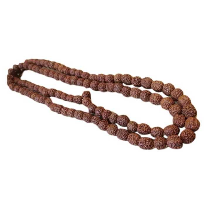 Rudraksha%20beed%20mala%20natural%20nut%20good%20for%20body%20-%20Image%205