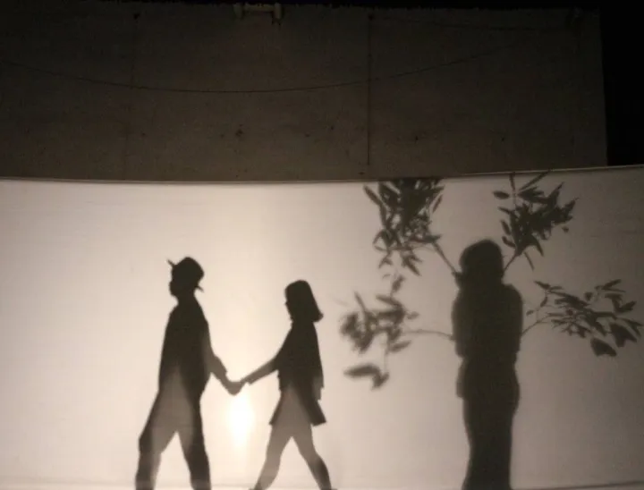 Pure%20White%20Fabric%20for%20Stage%20Shadow%20Show%20Play%20Screen%20Quality%20Backdrop%20Studio%20Prop%20-%20Image%206