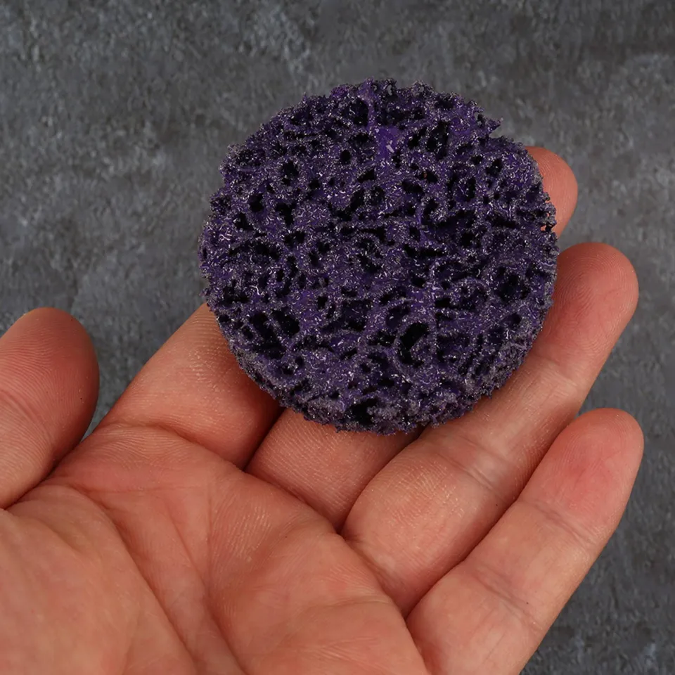 Zeafree 25PCS 2 Inch (50mm) Quick Change Strip & Clean Discs – Purple Silicon Carbide, Paint & Rust Removal, Surface Prep, With Holder