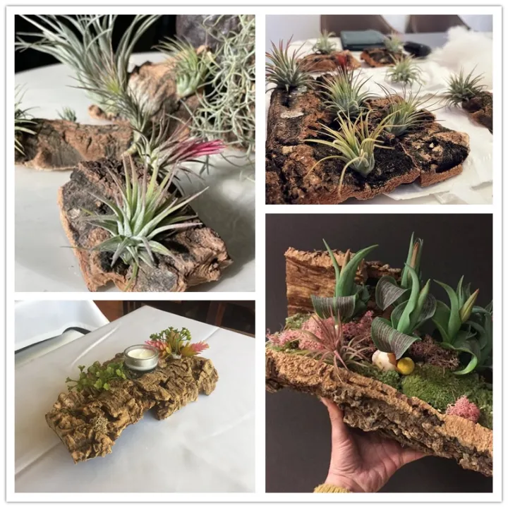 %E2%99%A7%E2%94%85Oak%20Natural%20Cork%20Bark-%20Reptile%20Terrarium%20Climb%20Platform%20Hiding%20Hut%20Landscape%20Habitat%20D%C3%A9cor%20Hideout%20-%20Image%209