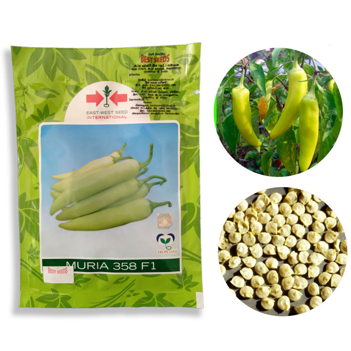 Capsicum%20MURIA%20358%20F1%20Seeds,%20Malu%20Miris%2010g%20-%20Image%202