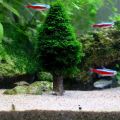 Simulation Xmas Moss Tree Grow Aquarium Landscape Decor New Aquarium Decoration Supplies 8. 