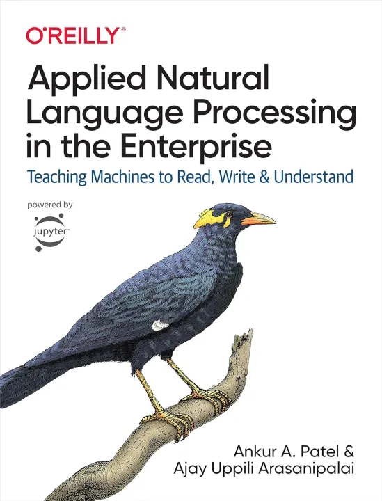 Applied Natural Language Processing in the Enterprise: Teaching ...