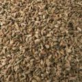 Asamodagam Seeds අසමෝදගම් බීජ Trachyspermum roxburghianum 1g. 
