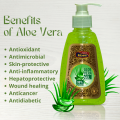 99% Pure Aloe Vera Gel, Freshly Cut Aloe Vera Leaves, Skin Care for Deeply & Rapidly Soothing, Firming, After Shave, Sunburn Relieve, etc. 