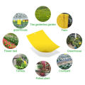 Yellow Sticky Trap/Sticky Trap/Yellow Sticker/Yellow Trap for Insects/Insect Trap. 