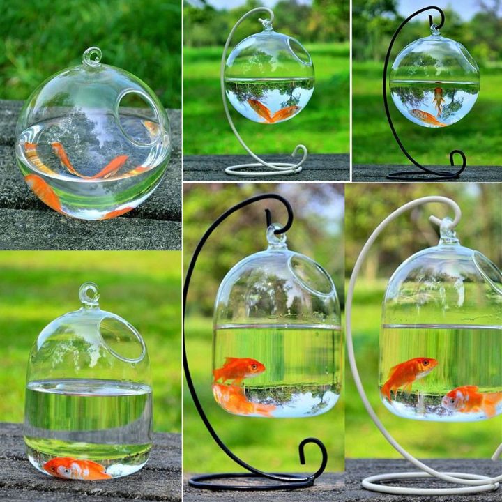 Glass%20Crafts%20Transparent%20Home%20Decoration%20Aquarium%20Decoration%20Hydroponics%20Vase%20Wall%20Hanging%20Fish%20Tank%20Fish%20Bowl%20Vase%20Ornament%20Hanging%20Glass%20Fish%20Bowl%20-%20Image%208
