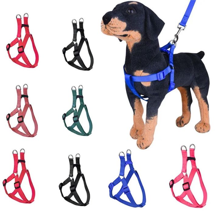 Metal chain dog harness hotsell