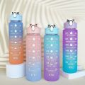 900ml Color Full Water Bottle with BPA FREE Water Bottle. 