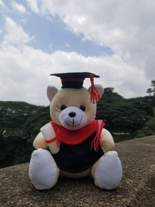 Graduation%20Teddy%20Bear%20Graduation%20Gift%20Toy%20Teddy%20Bear%20-%20Image%202