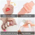 Lovinland Smart Laser Cat Toy Wearable Automatic Teasing Cat Collar USB Charging Collars Interactive Training Kitten. 