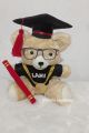 Graduation Teddy Bear, Personalized  Graduation Teddy Bear.. 