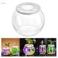 Fish Bowl Decorative Table Centerpiece Fish Tank for Hotel Dorm Living Room. 