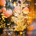 Auoyo LED Artificial Plants String Light Powered Fairy Lights Super Bright For Christmas, Decorations and other events Home Decoration. 