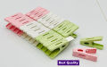 24 Pcs Best Quality Cloth Pegs / Cloth Clips Heavy Plastic Multi-Colors 24 Pcs In One Set Antique Design For Modern Dress. 