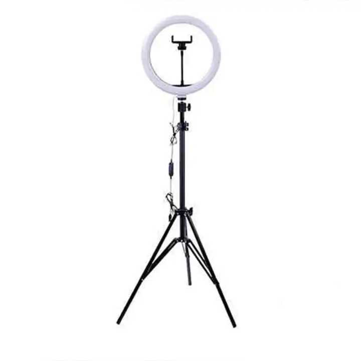 10 Inch Selfie Ring Light, LED Ring Light with 7 feet Tripod Mount and Phone Holder, Desktop Circle Light for YouTube Video, TikTok, Live Stream, Makeup - Beauty Ring Light for iPhone and android cell phone + Free Gift