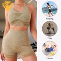 Sports Bra Set 2-piece Women's Sportswear Set with High Waist Shorts Quick Dry Vest Favorite Vest Sports Bra. 