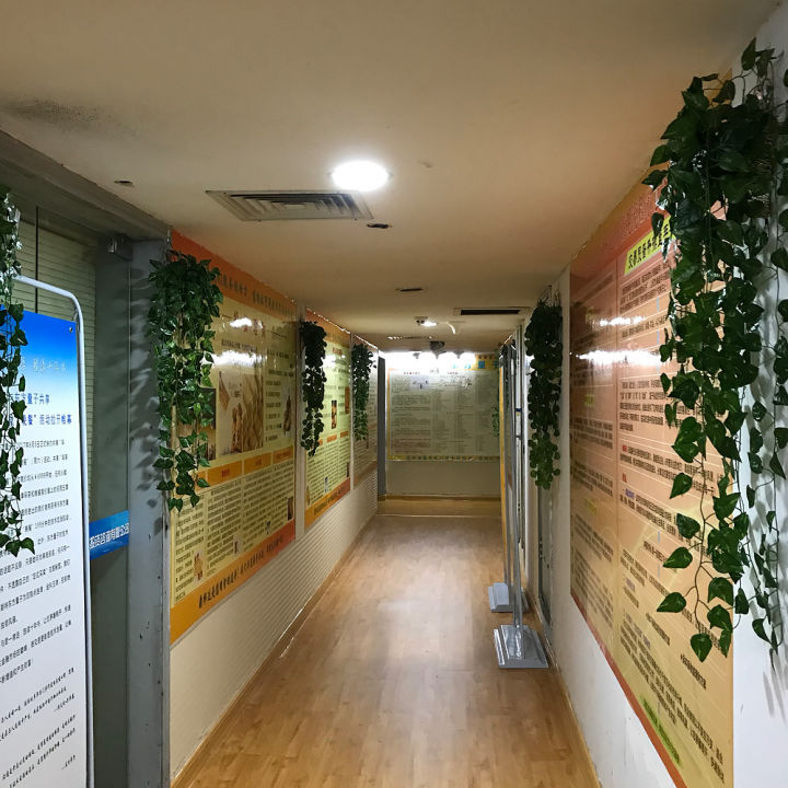 1/10%20Strings%20Green%20Artificial%20Lvy%20Hanging%20Vine%20Leaf%20Plant%20Leaves%20Garland%20Home%20Wall%20Decoration%20Foliage%20Hanging%20Plants%20-%20Image%206