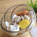 100g Beach Mixed SeaShells Mix Sea Shells Shell Craft SeaShells Aquarium Decor. 