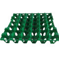 30Pcs Plastic Egg Tray. 