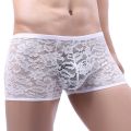 024 underwear lace flat angle ice silk autumn and winter new white pants pants printed mesh men's horn plus boy 2. 