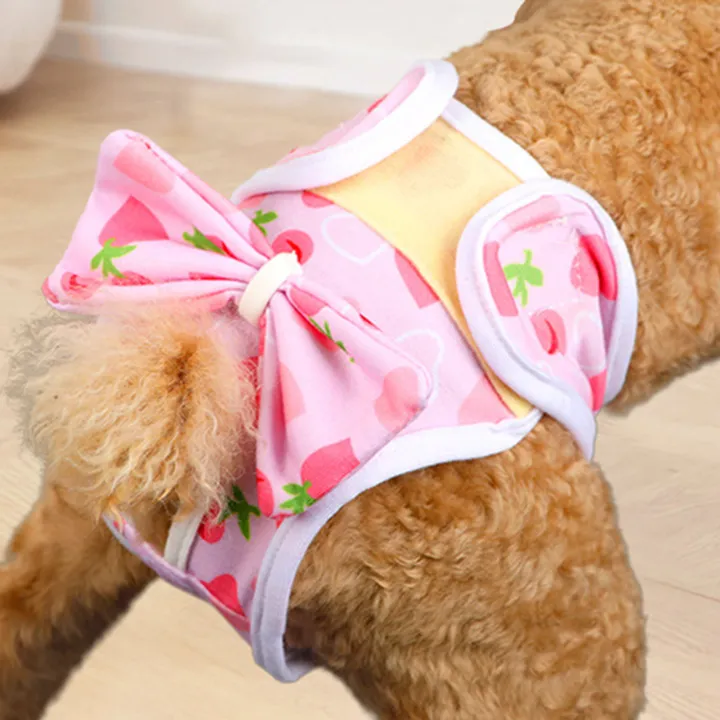 Dog%20Menstrual%20Pants%20Reusable%20Dog%20Diapers%20for%20Female%20Dogs%20in%20Heat%20Breathable%20Pet%20Panties%20for%20Puppy%20Washable%20Physiological%20Pants%20for%20Pet%20Female%20Dog%20Diaper%20-%20Image%203