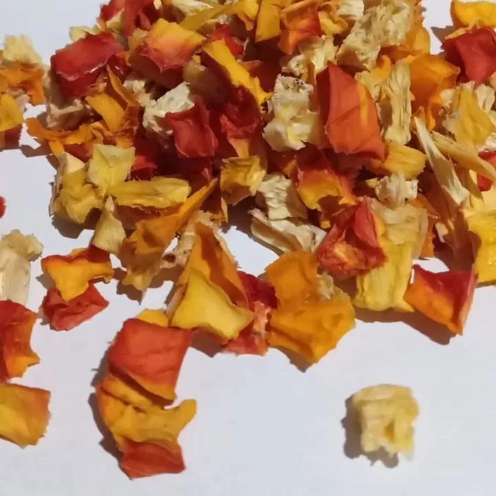 Dehydrated%20Mix%20fruit%20cubes%20100g%20bottle%20-%20Image%203