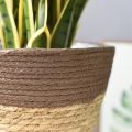 【Miga Plaza】2 In 1 Basket Flower Pot Natural Seagrass Indoor Planter Storage Basket Flower Pot With Waterproof Liner Flower Pots Cover Storage Basket Plant Woven Basket Planter Straw Flower Pot. 