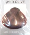 Wild Olive Repair Hair Dye Permanent Hair Color Cream Ready to Use Hair Dye 60mlX2+10ml. 