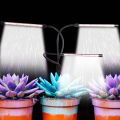 Grow Light for Plants LED Grow Light Plant Grow Light 60W with Clip Brightness Adjustable 4/8/12H Timing. 