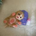 6Inch Mini Adorable Cat Reborn Doll Painted Whole Solid Silicone Lifelike Reborn Baby Dolls Toys For Kid's Gift Bebê Reborn. 