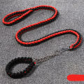 Dog Leash with Adjustable Collar Dog Leash for Walking, Running, Hiking, Nylon Rope Braided Dog Training Leash. 