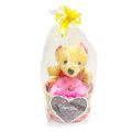Cute Little Teddy Bear With Vase Lovers Gift Girlfriend Boyfriend Wedding Anniversary Birthday Christmas Valentine Romantic Gift. 