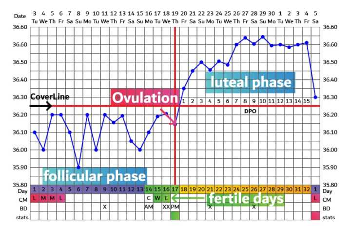 Ovulation%20Thermometer%20-%20Basal%20Body%20Temperature%20Thermometer%20(BBT)%20-%20Image%208