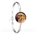 Agile Dog Bracelet French Bulldog Cocker Spaniel Look Like Cute Cuddly Silver Plated Chain Bangle Glass Dome Men Women Jewelry. 