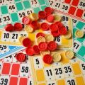 Lotto Family Board Games. 