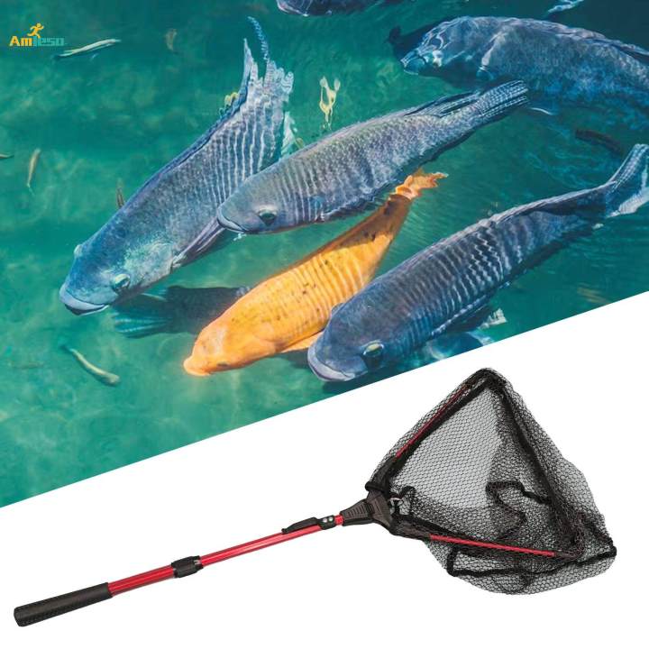Fishing%20Mesh%20Net%20Fishing%20Accessories%20Lightweight%20Landing%20Net%20Fishing%20Collapsible%20Fish%20Net%20for%20Catfish%20Trout%20Freshwater%20Saltwater%20Sea%20Fishing%20-%20Image%205