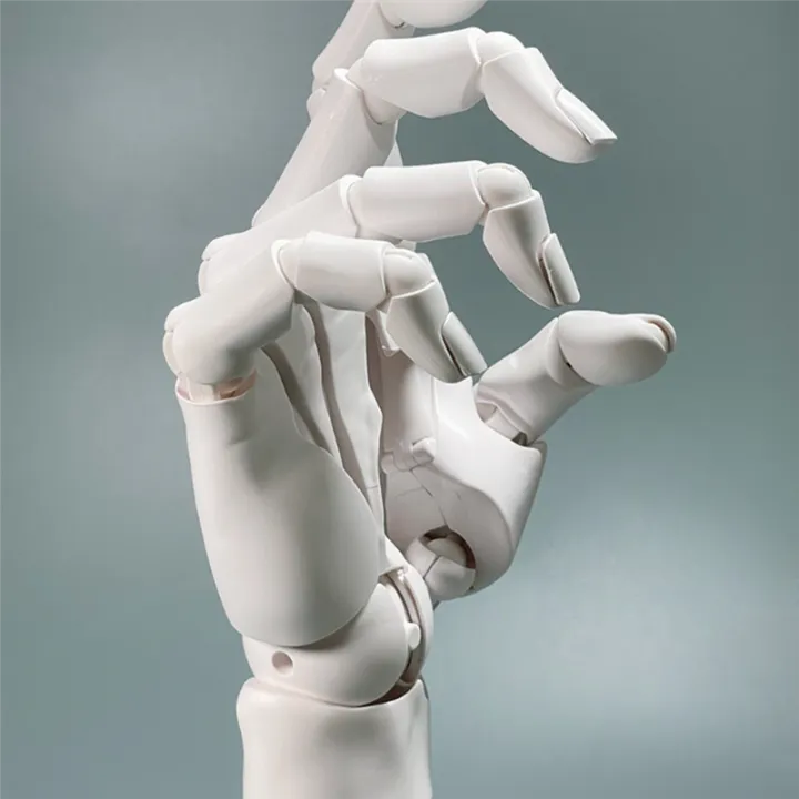 Universal%20Flexible%20Hand%20Model,%20Movable%20Artist%20Mannequin%20Hand%20Shape,%20for%20Home%20Office%20Desk%20Decoration,%20Display%20A%20-%20Image%202