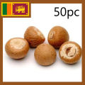 Sri Lankan Areca Nuts 50pc (Puwak). 