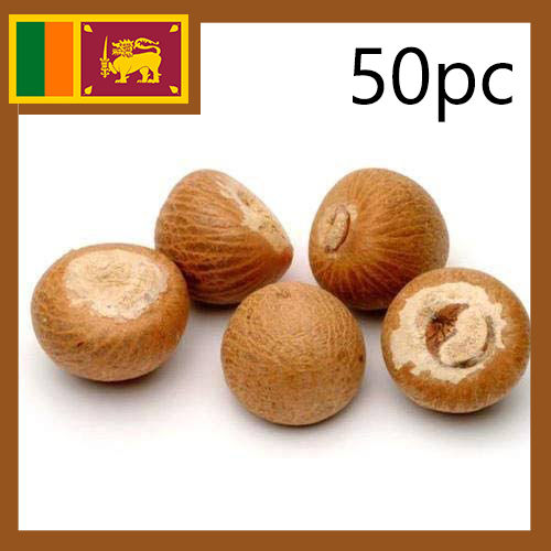 Sri Lankan Areca Nuts 50pc (Puwak)