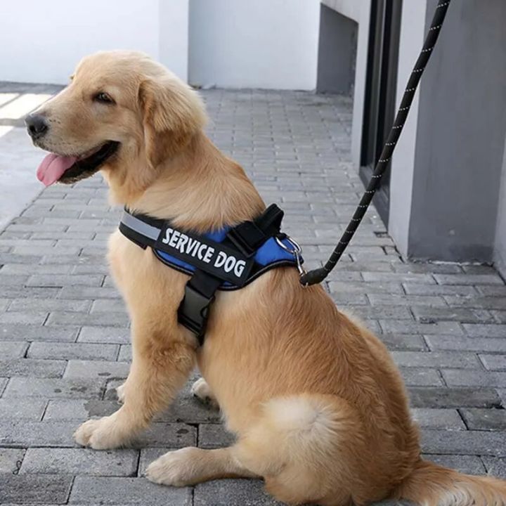 2%20PCS%20Personalized%20Reflective%20Dog%20Name%20Tag%20Custom%20Label%20Nameplate%20Velcro%20Cat%20Dogs%20Harness%20Patch%20Pet%20Supplies%20-%20Image%206