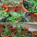 200 Adjustable Irrigation Drippers with Drip Irrigation Kit for Garden Watering Fitting. 