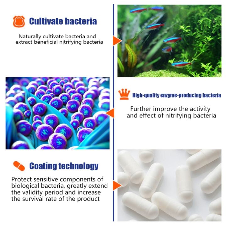 【EleganceEssence】50Pcs/Bottle Aquarium Nitrifying Bacteria Fish for ...